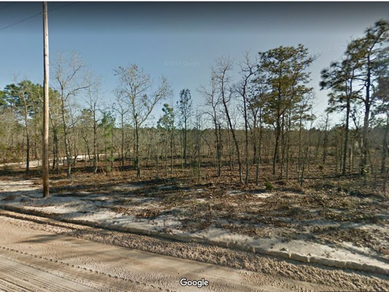 .12 Acres in Putnam County, FL : Interlachen : Putnam County : Florida
