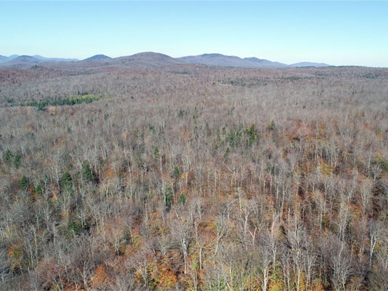 Eden-Craftsbury Forest : Wolcott : Lamoille County : Vermont