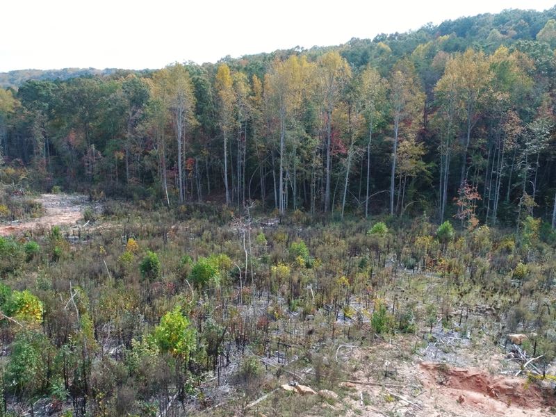 69 +/- Acres Great Location : Travelers Rest : Greenville County : South Carolina