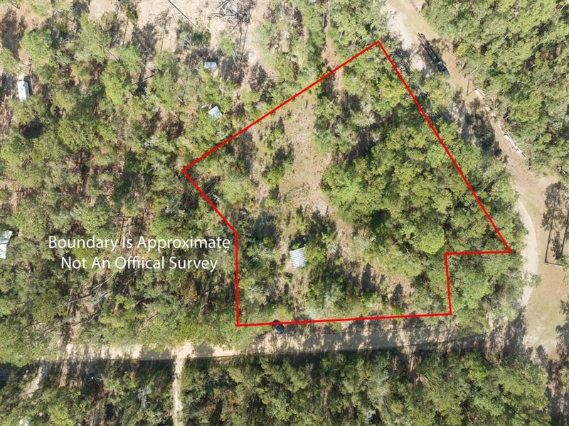 412 NE Blue Springs Church Road : Lee : Madison County : Florida