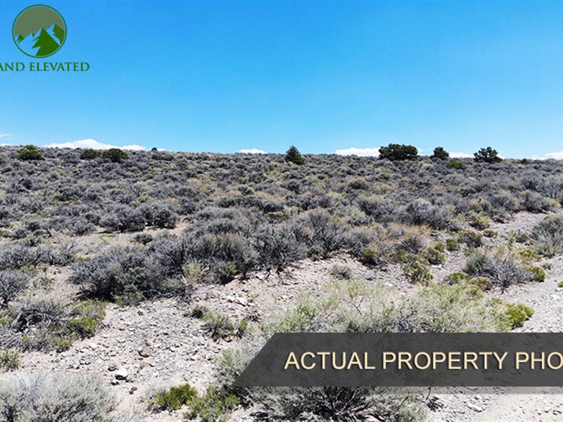 Land to Expand, 15.3 Acres : San Luis : Costilla County : Colorado