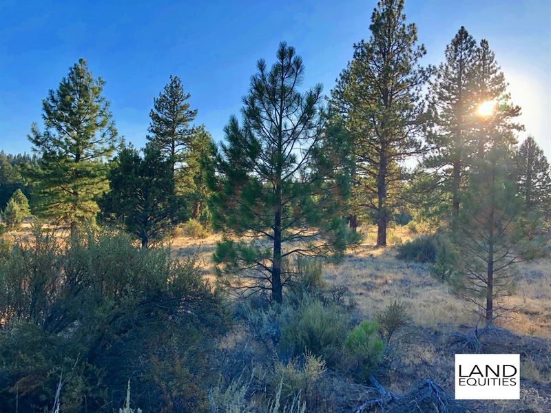 Beautiful Lot in A Great Location : Bonanza : Klamath County : Oregon
