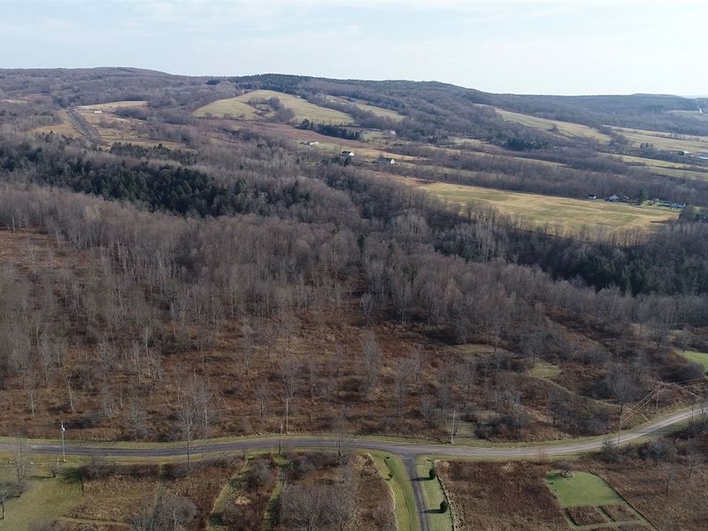 Building Lot on a Private Road : Schuyler : Herkimer County : New York