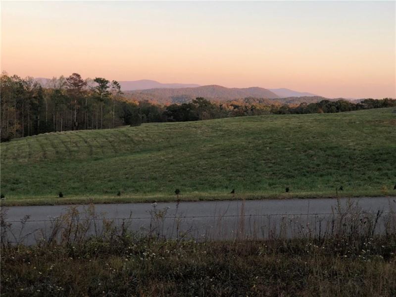 Mountain Land for Sale in Ellijay : Ellijay : Gilmer County : Georgia