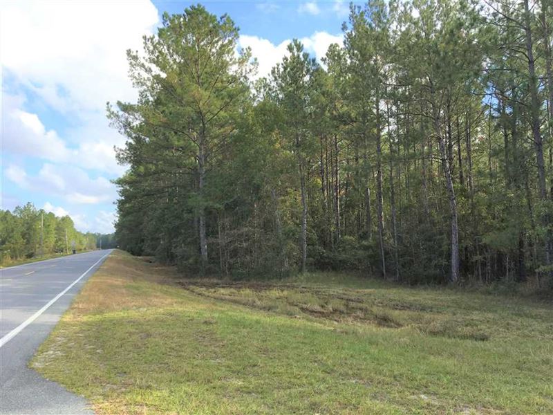 5 Acres Land For Sale Camden Count Land for Sale in Waverly, Camden