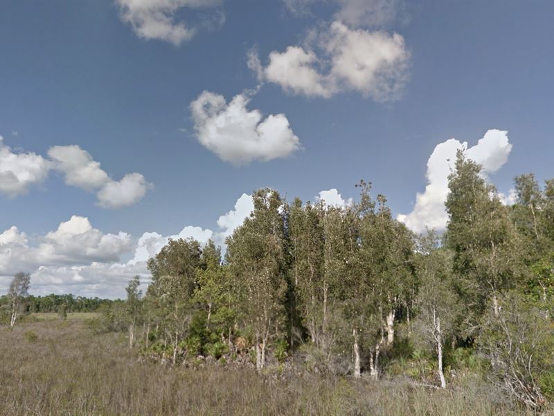 2.5 Acres for Investment or Hunting : Punta Gorda : Charlotte County : Florida