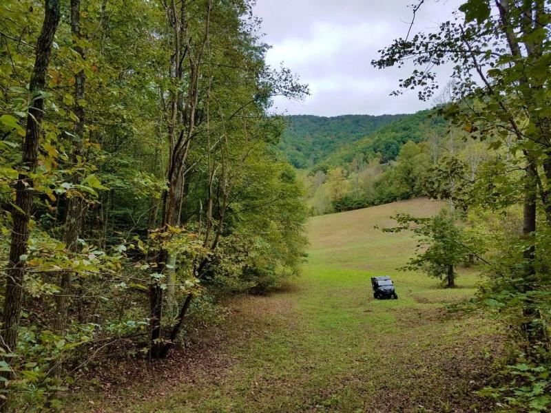 Beautiful 74 Acres : Sneedville : Hancock County : Tennessee