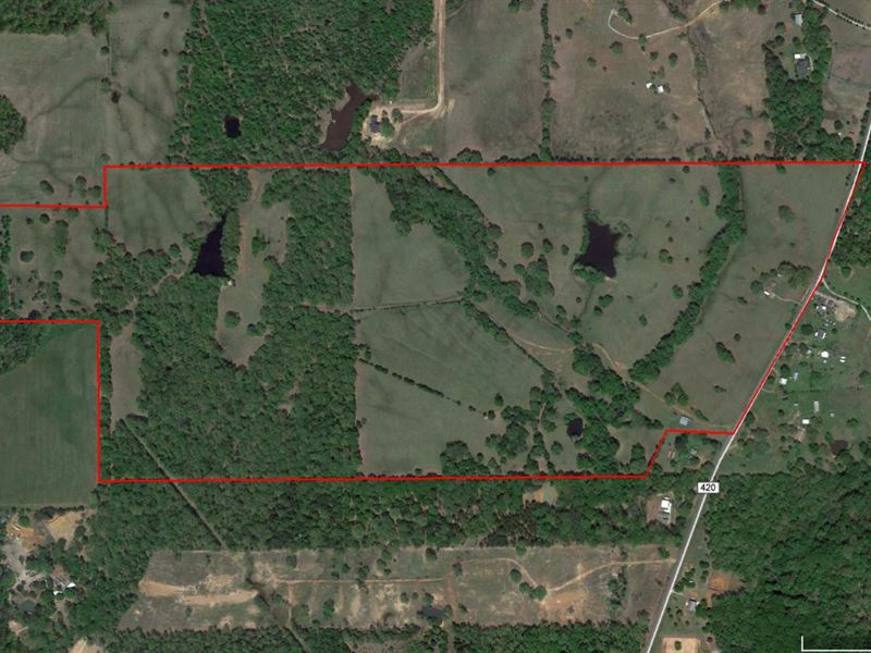 Magnificent 169 Acre Ranch : Tyler : Smith County : Texas