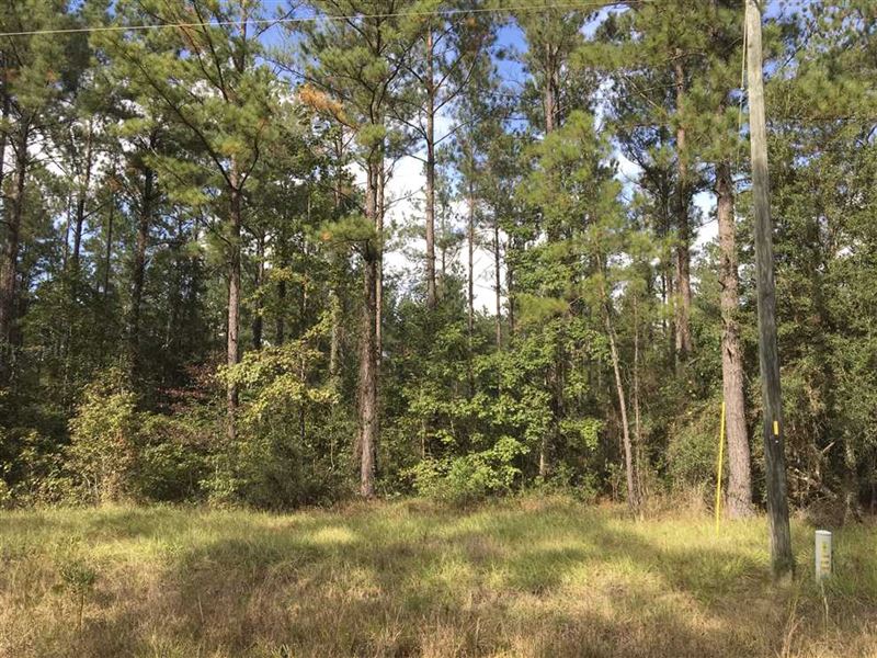 5 Acres Land For Sale on Forest Tr Land for Sale in Waverly, Camden