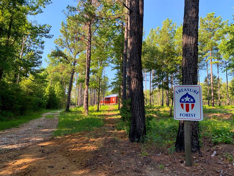 Midway, AL Hwy 51 Tract : Midway : Barbour County : Alabama