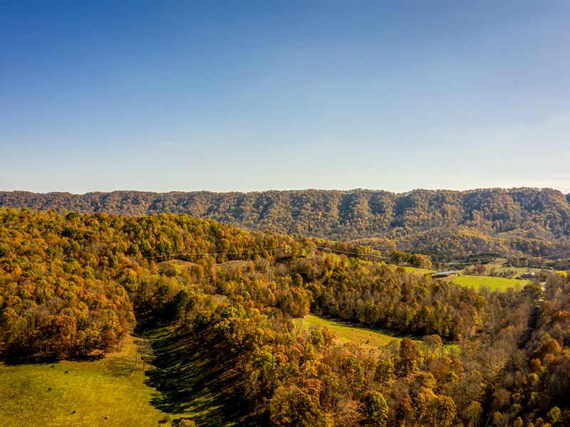 44 Acres Unrestricted with Spring, Land for Sale in Tennessee, 221927