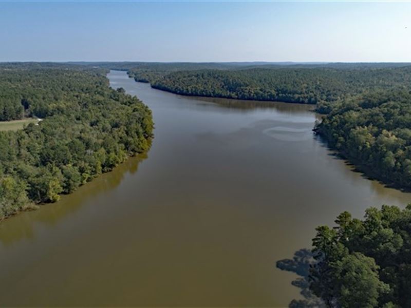 58 Acres, Fairfield County, SC : Great Falls : Fairfield County : South Carolina