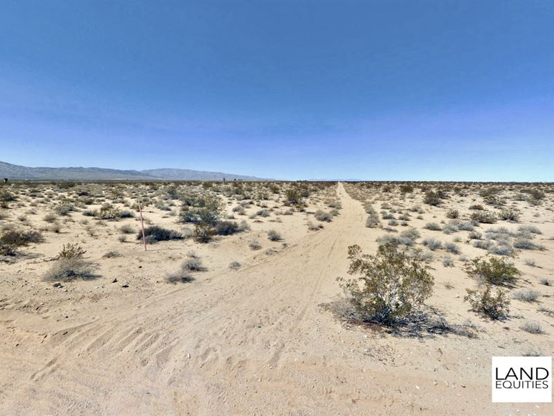 Bargain Priced 10Ac, Wonder Valley : Twentynine Palms : San Bernardino County : California