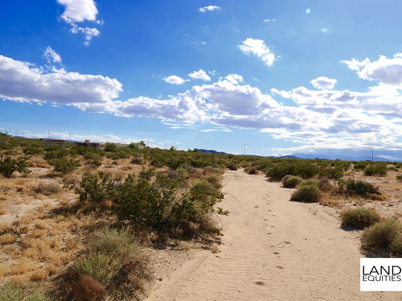 Borders Blm Near Paved Road : Twentynine Palms : San Bernardino County : California