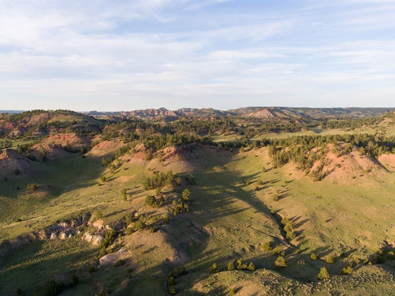 Miller Creek Hunting Property Land for Sale in Broadus, Powder River
