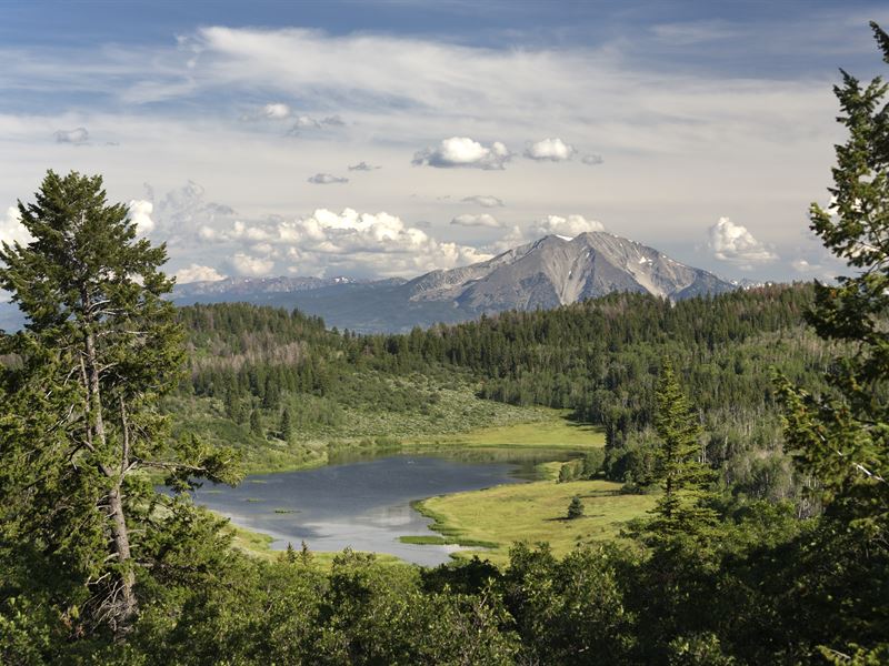 Black Bear Ranch : Glenwood Springs : Pitkin County : Colorado