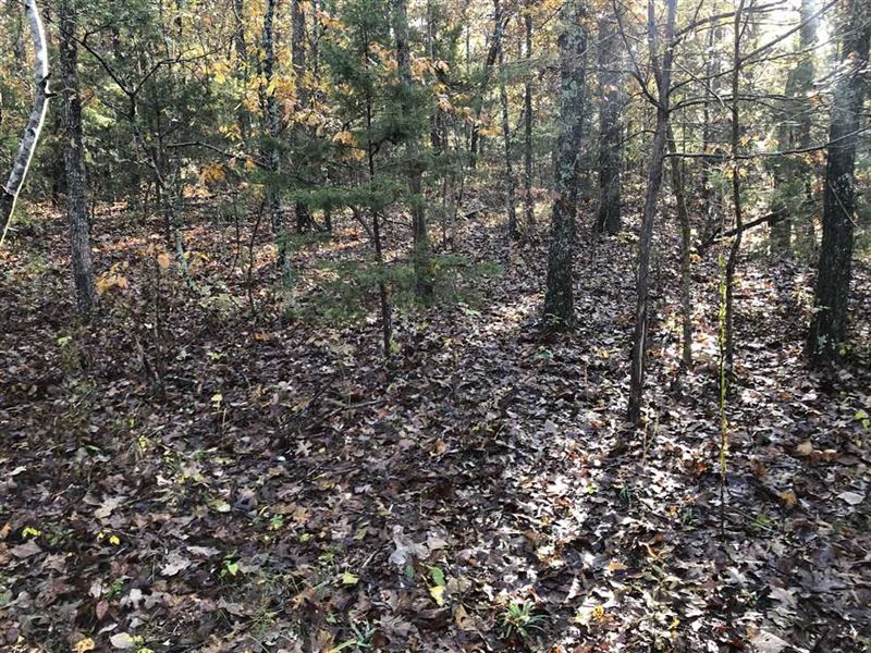 30 Acre Hunting Tract in Laclede : Stoutland : Laclede County : Missouri