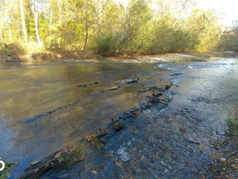 Ouachita Mountain Farm And Hunting Land for Sale in Black Springs