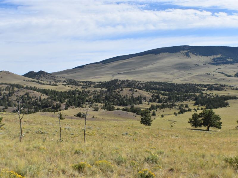 Colorado Mountain Land Ranch : Guffey : Park County : Colorado