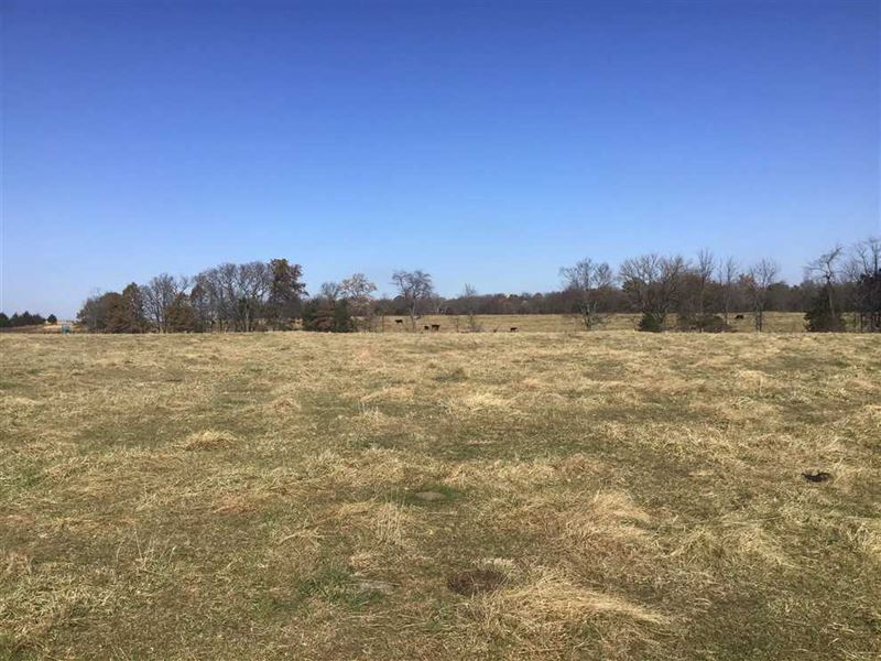 178 Acre Premier Mix Cattle / Re : Versailles : Morgan County : Missouri