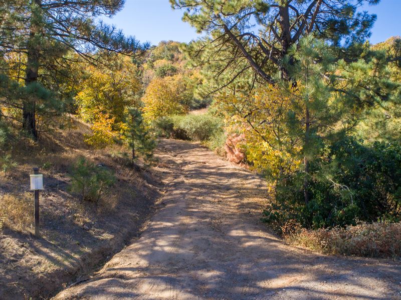 8+ Acre Julian Property Land for Sale in Julian, San Diego County