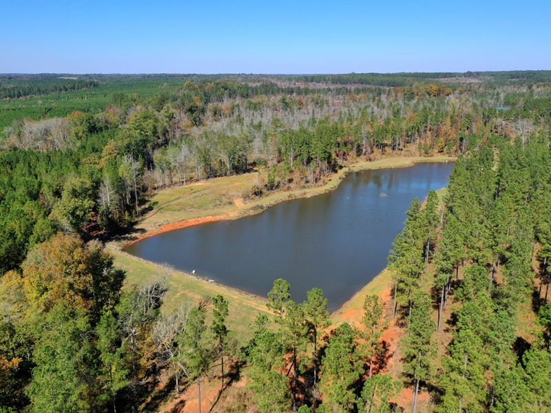 Timber & Hunting by Lake Sinclair : Eatonton : Putnam County : Georgia