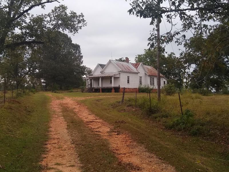 Beautiful Hunting Property, Land for Sale in Alabama, 222672 LANDFLIP