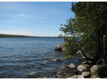 Cold Stream Pond Waterfront Lot : Lowell : Penobscot County : Maine