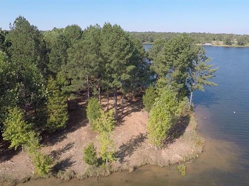 Carroll County Tennessee Lakefront Land For Sale Landflip
