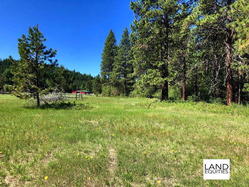 2 Beautiful Lots in Rocky Point : Klamath Falls : Klamath County : Oregon