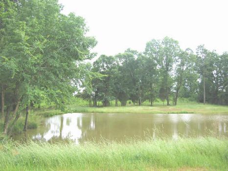 Pastoral views, Ponds : Bear Creek : Chatham County : North Carolina