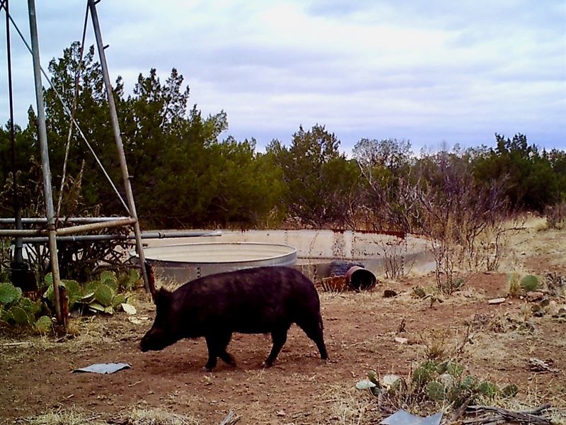 Maad Ranch : Trementina : San Miguel County : New Mexico