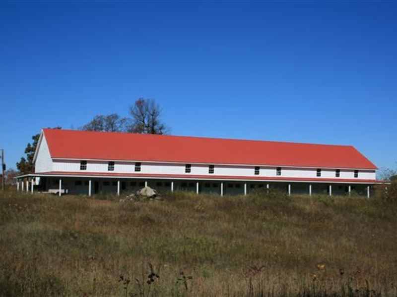 90.5 Acres Land Sell Patrick : Meadows Of Dan : Patrick County : Virginia