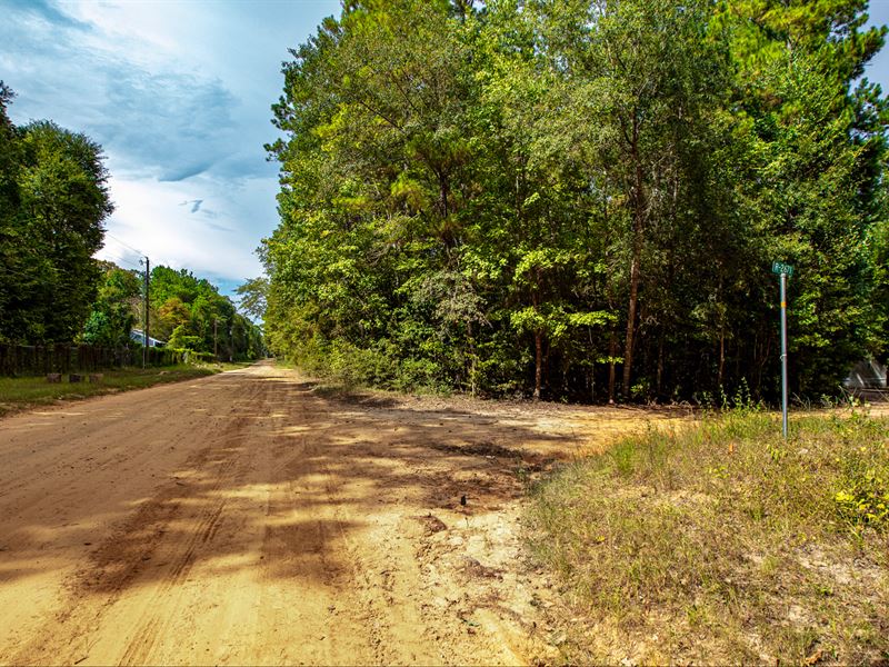 Wooded Corner Lot with Utilities : Cleveland : Liberty County : Texas