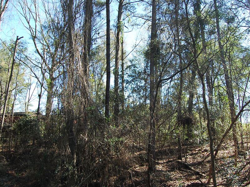 Residential Lot on Beautiful Street : Montezuma : Macon County : Georgia