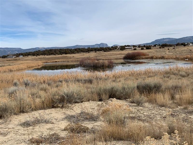 Great Mini Ranch Ponds Water Rights : Tierra Amarilla : Rio Arriba County : New Mexico