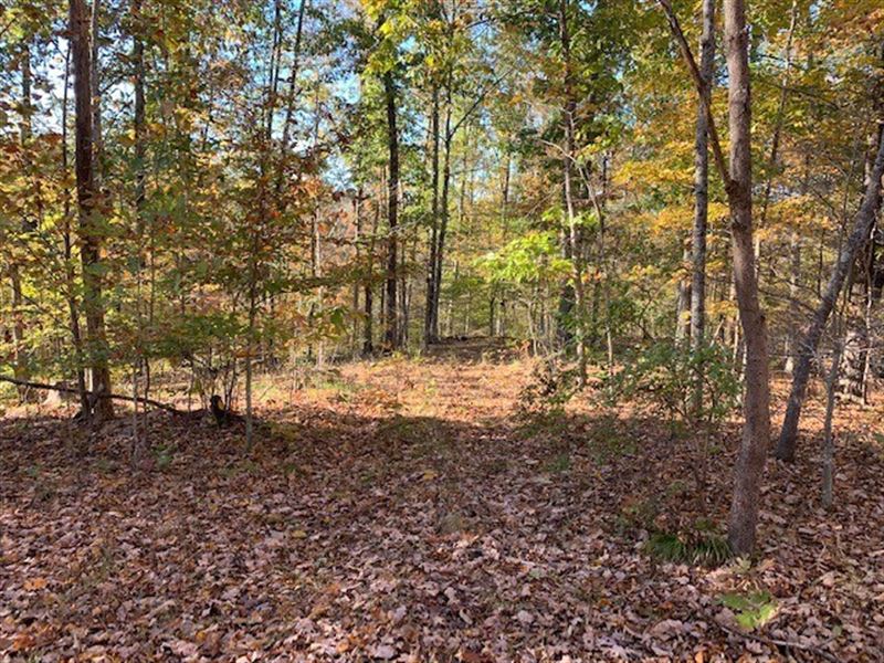 Land For Sale In Middle Tennessee Land for Sale in Columbia, Maury