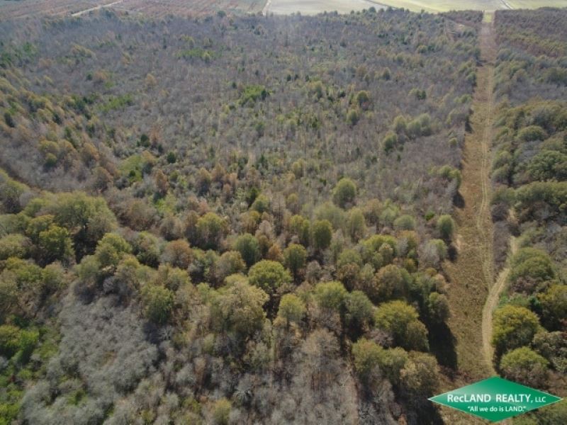 175 Ac, Crp Income & Hunting : Darnell : West Carroll Parish : Louisiana