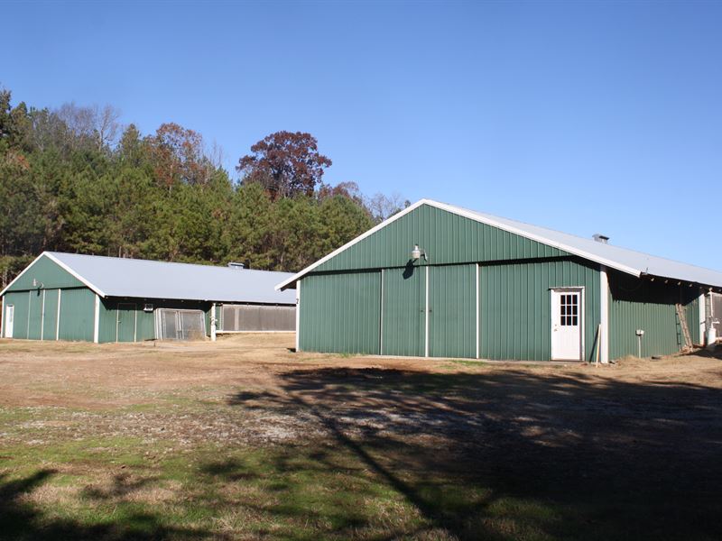 W GA Breeder Farm, Home & 45 Acres : Whitesburg : Carroll County : Georgia