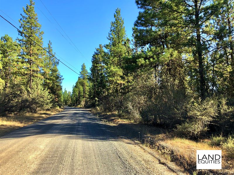 Beautiful Treed Lot with Power : Bonanza : Klamath County : Oregon