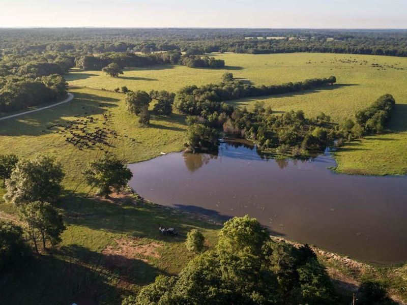 Hausler Creek Ranch : Fairfield : Freestone County : Texas