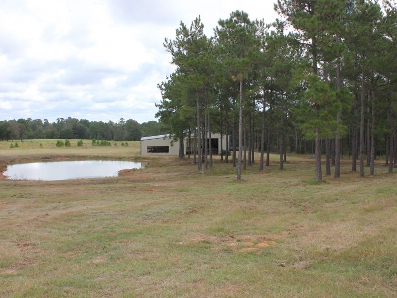 5 Acres in Conroe, Texas Land for Sale in Conroe, Montgomery County