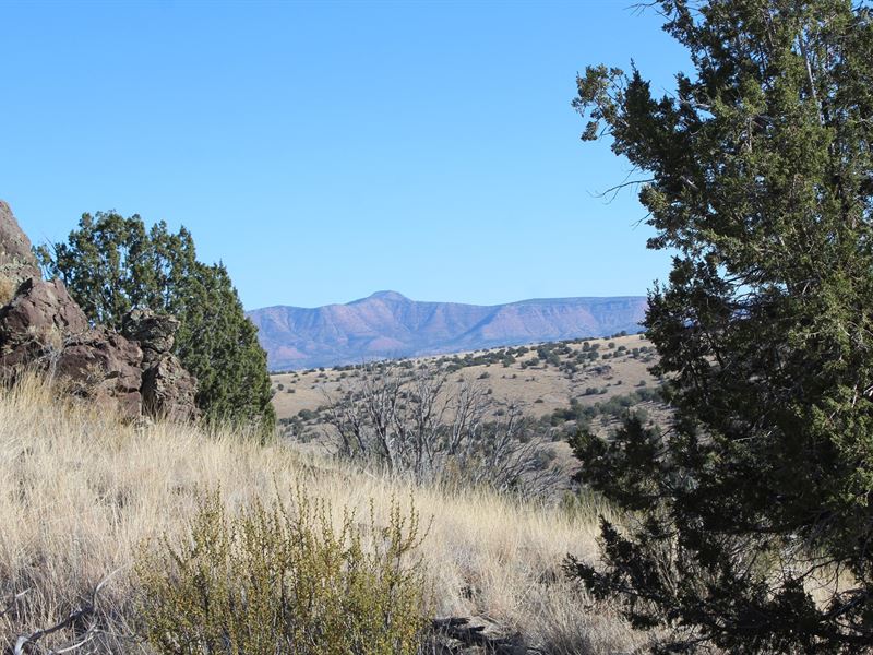 Land That Borders Public Land : Seligman : Yavapai County : Arizona