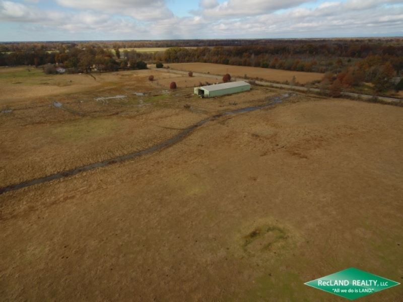 106 Ac, Working Cattle Farm, Can : Pioneer : West Carroll Parish : Louisiana