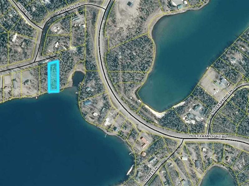 Beautiful Lot on Wik Lake : Kenai : Kenai Peninsula Borough : Alaska