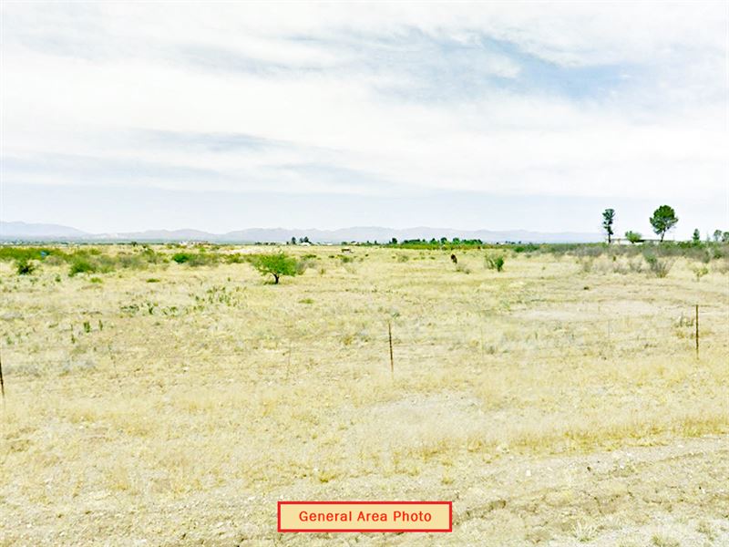 Large Rural Residential Lot : Douglas : Cochise County : Arizona