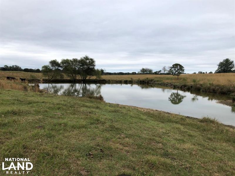 Gravel Hill Cattle Farm : Phil Campbell : Franklin County : Alabama