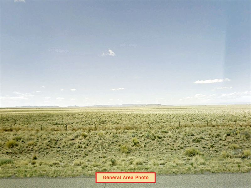 Large Secluded Lot : Blanca : Costilla County : Colorado