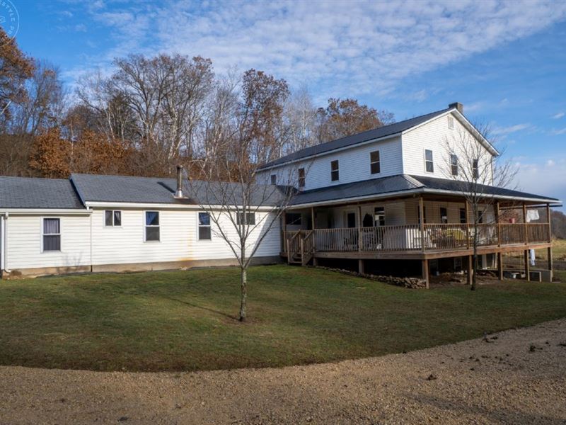 45 AC Monroe County Slice of Heaven Land for Sale in Sheldon, Monroe