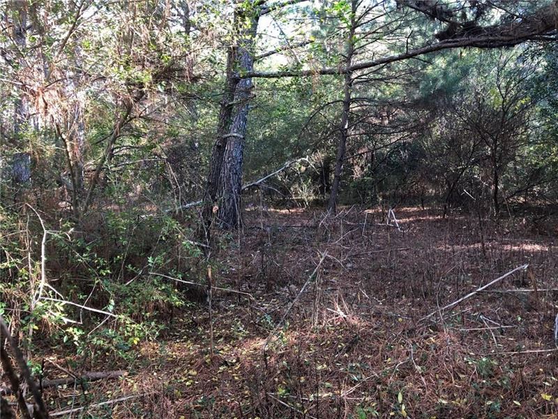 Mountain Land for Sale in Pickens : Talking Rock : Pickens County : Georgia